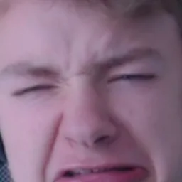 All tommyinnit mods tag icon