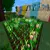 CropCrafter tag icon