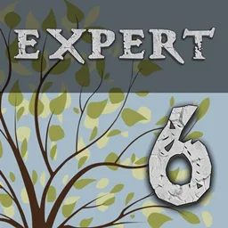 Enigmatica 6: Expert - E6E tag icon