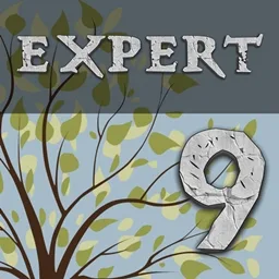 Enigmatica 9: Expert - E9E tag icon