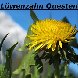 Löwenzahn tag icon