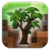 Life in the Woods - BNC Ed. tag icon
