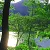Lost in the Trees tag icon