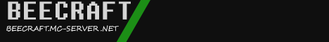 2builders2griefers Minecraft Server banner