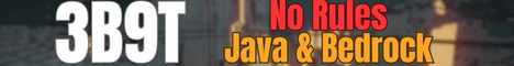 3b9t Minecraft Server banner