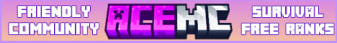 Ace MC Minecraft Server banner