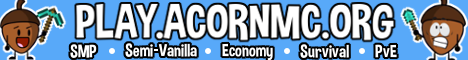 Acorn Minecraft Server banner