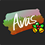 AVAS Minecraft Server Icon