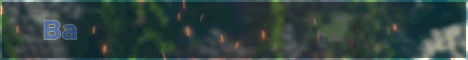 Barnyard Warfare Reloaded Minecraft Server banner