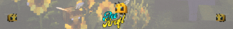 BeeKraft Minecraft Server banner