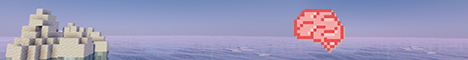 BrainCraft Minecraft Server banner