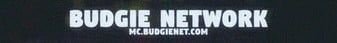 BudgieNet Minecraft Server banner