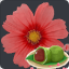 ChunghwaMC Minecraft Server Icon