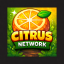 Citrus Network Minecraft Server Icon