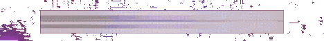 CobbleX Minecraft Server banner
