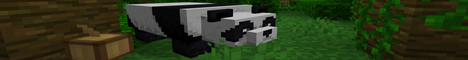 Craftily.net Minecraft Server banner