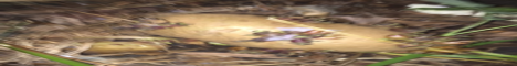 CrocMC Minecraft Server banner