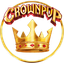 CrownPvP Minecraft Server Icon