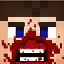 DayZ BattleGround Minecraft Server Icon