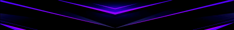 Dolphinable Minecraft Server banner