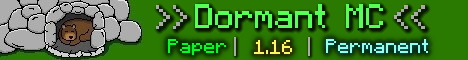 DormantMC Minecraft Server banner