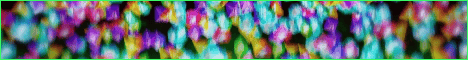 Elama SMP Minecraft Server banner