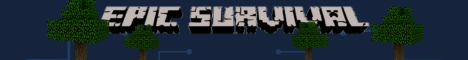 Epic survival Minecraft Server banner