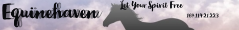 Equinehaven Minecraft Server banner