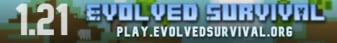 Evolved Survival Minecraft Server banner