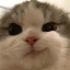 Friendly SMP Minecraft Server Icon