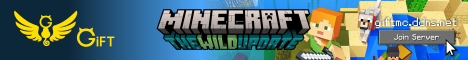 Gift Minecraft Minecraft Server banner