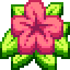 HibiscusMC Minecraft Server Icon