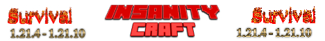 Insanitysurvival Minecraft Server banner