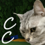 KingdomSkies Minecraft Server Icon