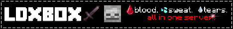 ldxbox Minecraft Server banner