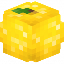 LEMONcube Minecraft Server Icon