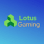 Lotus Network Minecraft Server Icon