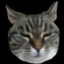 mcmaukissa Minecraft Server Icon