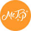 McThemeParks Minecraft Server Icon