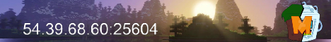 Media Minecraft Server banner