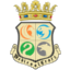 MedievalCraft Minecraft Server Icon