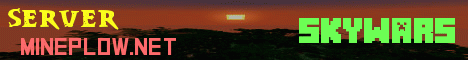 MINECRAFT PLOW NETWORK Minecraft Server banner