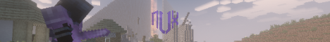 NVX Minecraft Server banner