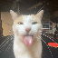 Perplex Network Minecraft Server Icon
