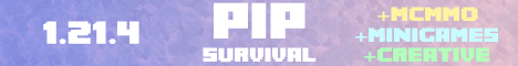 Pip Minecraft Server banner
