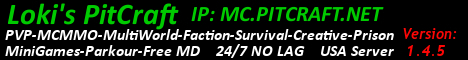 PitCraft Minecraft Server banner