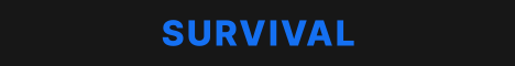 Play Allay Minecraft Server banner
