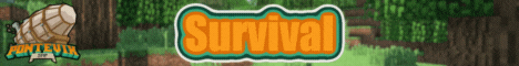 Pontevix Minecraft Server banner