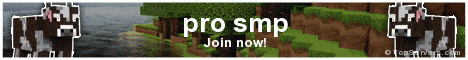 pro smp Minecraft Server banner