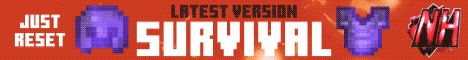 PubsLifesteal Minecraft Server banner